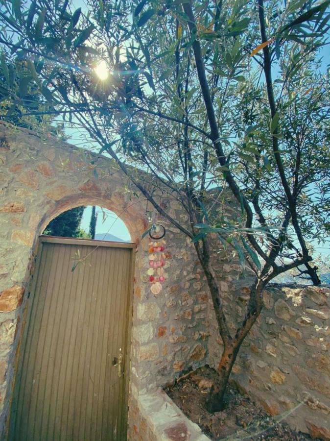 הימארה Lemons&Olives Rooms מראה חיצוני תמונה
